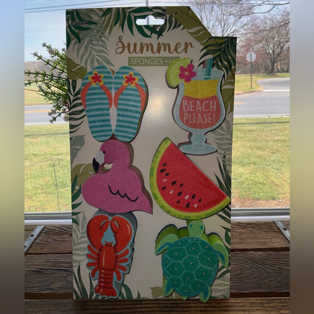 Summer Themed Sponges 6 Pack ~ New